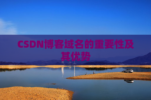 CSDN博客域名的重要性及其优势